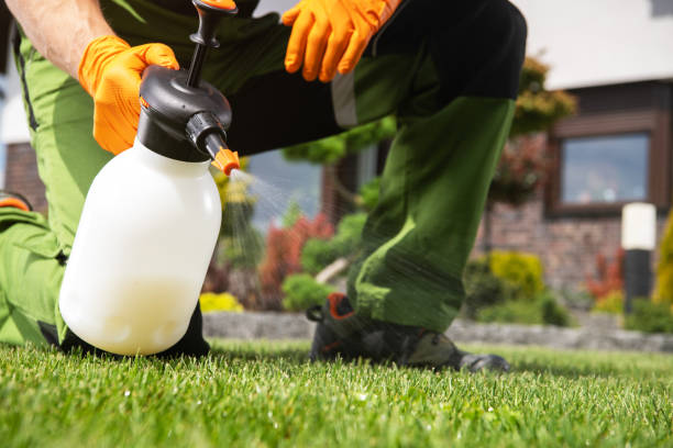 Trusted Cascade Chipita Park, CO Pest Control Experts